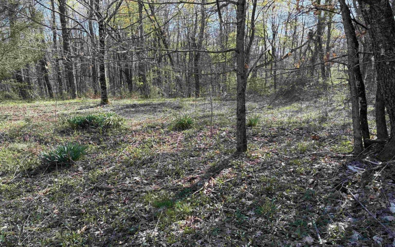 TBD Camp Ground Road, Tunnelton, West Virginia 26444, ,Lots/land,For Sale,Camp Ground,10157225