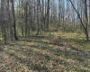 TBD Camp Ground Road, Tunnelton, West Virginia 26444, ,Lots/land,For Sale,Camp Ground,10157225