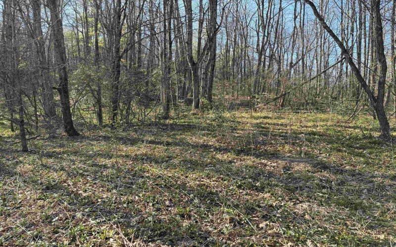 TBD Camp Ground Road, Tunnelton, West Virginia 26444, ,Lots/land,For Sale,Camp Ground,10157225