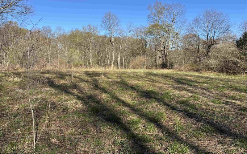 TBD Camp Ground Road, Tunnelton, West Virginia 26444, ,Lots/land,For Sale,Camp Ground,10157225