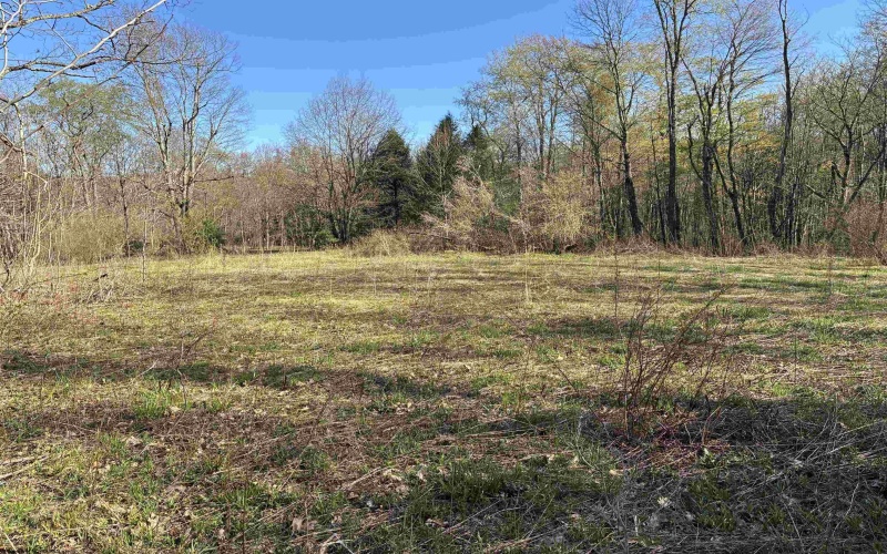 TBD Camp Ground Road, Tunnelton, West Virginia 26444, ,Lots/land,For Sale,Camp Ground,10157225