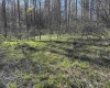TBD Camp Ground Road, Tunnelton, West Virginia 26444, ,Lots/land,For Sale,Camp Ground,10157225