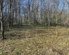 TBD Camp Ground Road, Tunnelton, West Virginia 26444, ,Lots/land,For Sale,Camp Ground,10157225