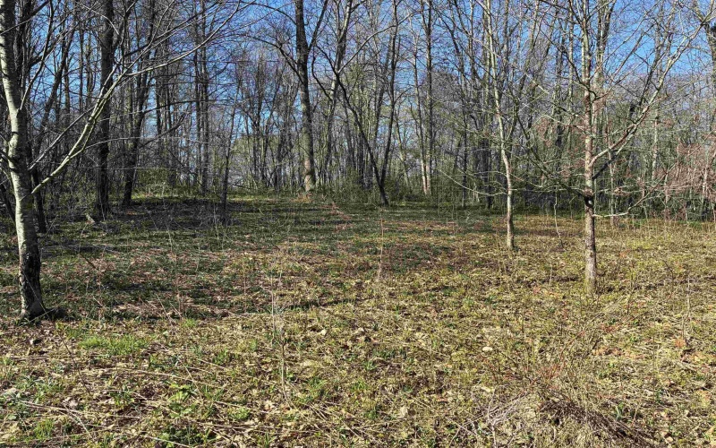 TBD Camp Ground Road, Tunnelton, West Virginia 26444, ,Lots/land,For Sale,Camp Ground,10157225