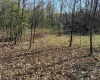 TBD Camp Ground Road, Tunnelton, West Virginia 26444, ,Lots/land,For Sale,Camp Ground,10157225