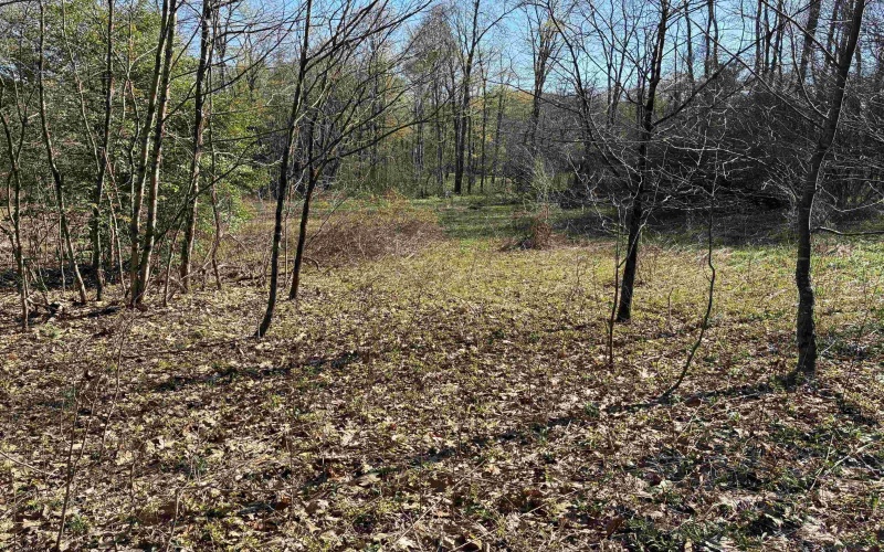 TBD Camp Ground Road, Tunnelton, West Virginia 26444, ,Lots/land,For Sale,Camp Ground,10157225