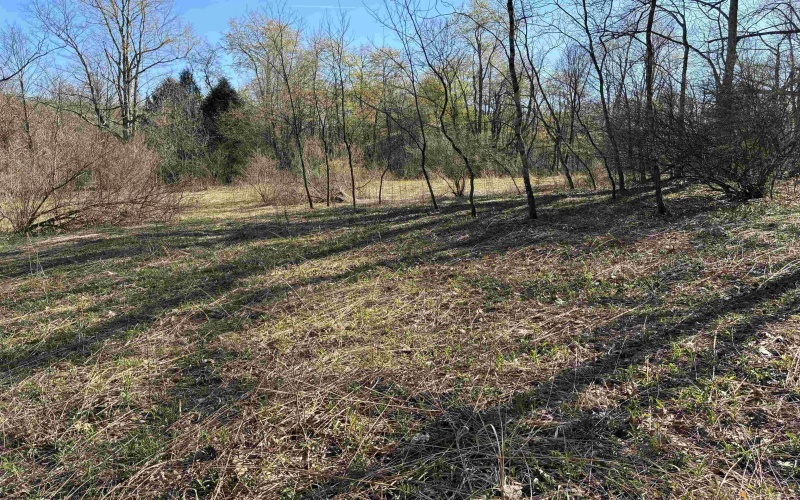 TBD Camp Ground Road, Tunnelton, West Virginia 26444, ,Lots/land,For Sale,Camp Ground,10157225