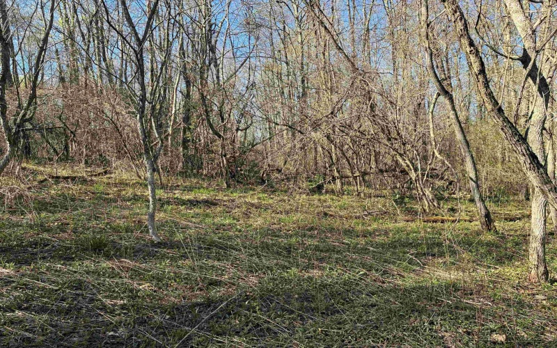 TBD Camp Ground Road, Tunnelton, West Virginia 26444, ,Lots/land,For Sale,Camp Ground,10157225