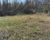 TBD Camp Ground Road, Tunnelton, West Virginia 26444, ,Lots/land,For Sale,Camp Ground,10157225