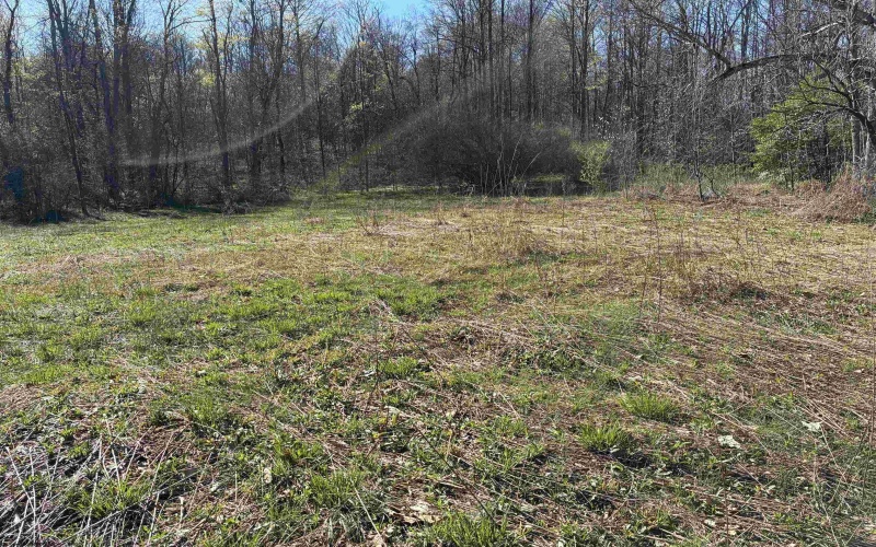 TBD Camp Ground Road, Tunnelton, West Virginia 26444, ,Lots/land,For Sale,Camp Ground,10157225