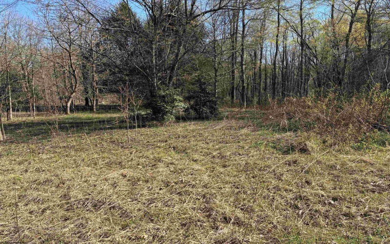 TBD Camp Ground Road, Tunnelton, West Virginia 26444, ,Lots/land,For Sale,Camp Ground,10157225