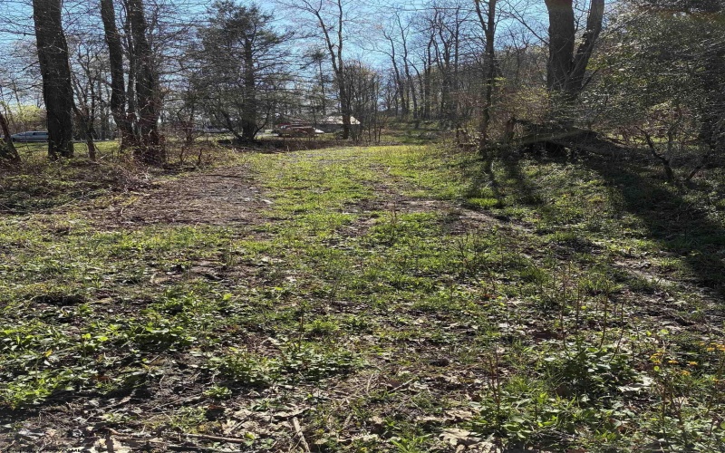 TBD Camp Ground Road, Tunnelton, West Virginia 26444, ,Lots/land,For Sale,Camp Ground,10157225