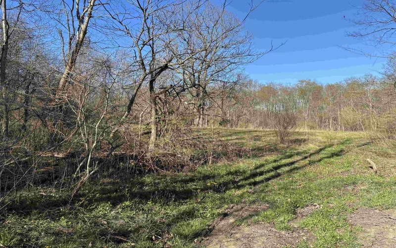 TBD Camp Ground Road, Tunnelton, West Virginia 26444, ,Lots/land,For Sale,Camp Ground,10157225
