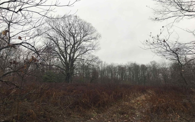 TBD Camp Ground Road, Tunnelton, West Virginia 26444, ,Lots/land,For Sale,Camp Ground,10157225 TBD Camp Ground Road, Tunnelton, West Virginia 26444, ,Lots/land,For Sale,Camp Ground,10157225