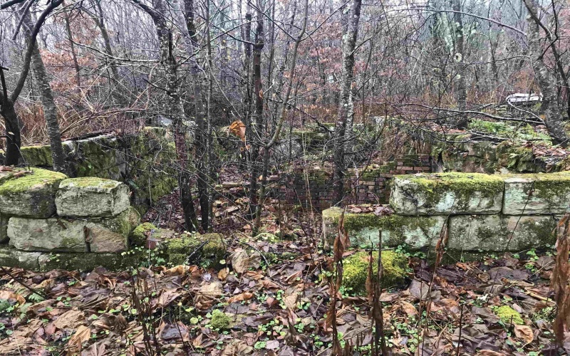 TBD Camp Ground Road, Tunnelton, West Virginia 26444, ,Lots/land,For Sale,Camp Ground,10157225 TBD Camp Ground Road, Tunnelton, West Virginia 26444, ,Lots/land,For Sale,Camp Ground,10157225