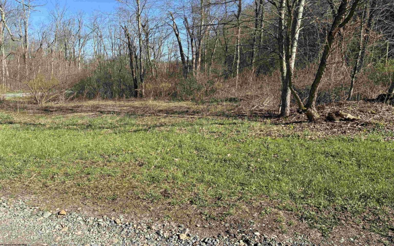 TBD Camp Ground Road, Tunnelton, West Virginia 26444, ,Lots/land,For Sale,Camp Ground,10157225