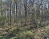 TBD Camp Ground Road, Tunnelton, West Virginia 26444, ,Lots/land,For Sale,Camp Ground,10157225
