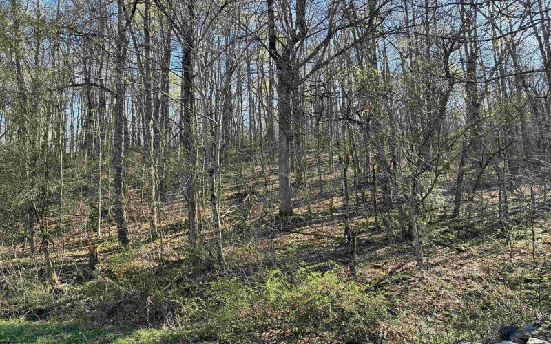 TBD Camp Ground Road, Tunnelton, West Virginia 26444, ,Lots/land,For Sale,Camp Ground,10157225