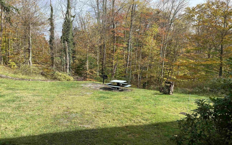 31 Ash Lodge Court, Davis, West Virginia 26260, 1 Bedroom Bedrooms, 4 Rooms Rooms,1 BathroomBathrooms,Single Family Attached,For Sale,Ash Lodge,10161993