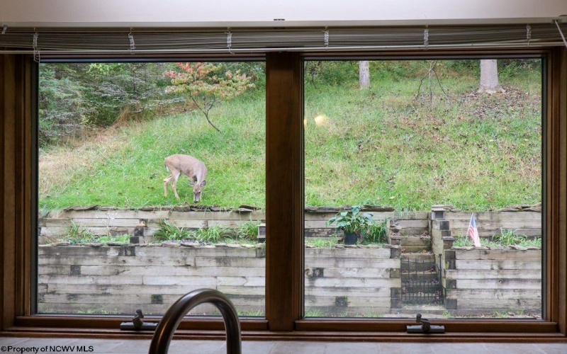 213 D Morgan Drive, Morgantown, West Virginia 26505, 3 Bedrooms Bedrooms, 7 Rooms Rooms,2 BathroomsBathrooms,Single Family Attached,For Sale,Morgan,10161996 213 D Morgan Drive, Morgantown, West Virginia 26505, 3 Bedrooms Bedrooms, 7 Rooms Rooms,2 BathroomsBathrooms,Single Family Attached,For Sale,Morgan,10161996