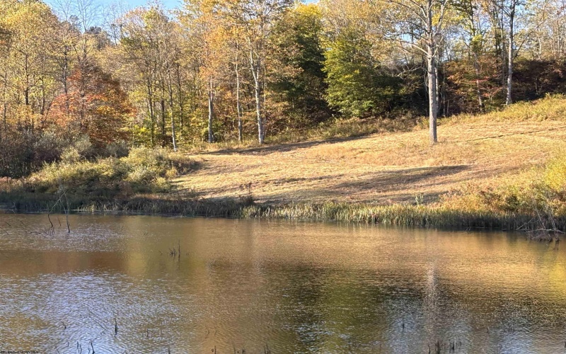 Lot 9 Island Road, Junior, West Virginia 26275, ,Lots/land,For Sale,Island,10161995 Lot 9 Island Road, Junior, West Virginia 26275, ,Lots/land,For Sale,Island,10161995