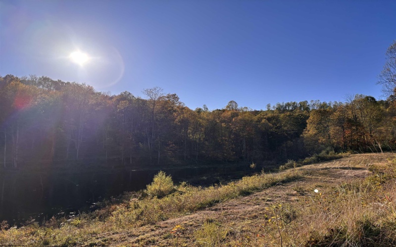 Lot 9 Island Road, Junior, West Virginia 26275, ,Lots/land,For Sale,Island,10161995 Lot 9 Island Road, Junior, West Virginia 26275, ,Lots/land,For Sale,Island,10161995