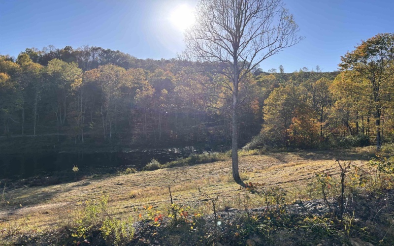 Lot 9 Island Road, Junior, West Virginia 26275, ,Lots/land,For Sale,Island,10161995 Lot 9 Island Road, Junior, West Virginia 26275, ,Lots/land,For Sale,Island,10161995