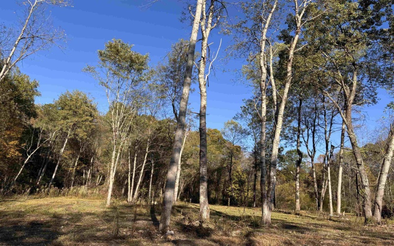 Lot 10 Island Road, Junior, West Virginia 26275, ,Lots/land,For Sale,Island,10161997 Lot 10 Island Road, Junior, West Virginia 26275, ,Lots/land,For Sale,Island,10161997