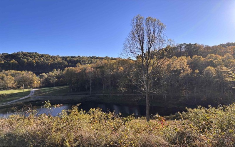 Lot 10 Island Road, Junior, West Virginia 26275, ,Lots/land,For Sale,Island,10161997 Lot 10 Island Road, Junior, West Virginia 26275, ,Lots/land,For Sale,Island,10161997