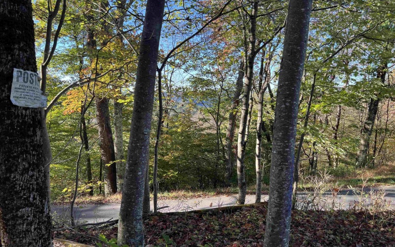 3000 Mount Zion Road, Parsons, West Virginia 26287, ,Lots/land,For Sale,Mount Zion,10161999