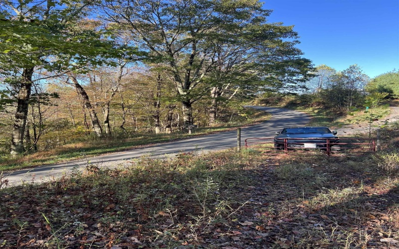 3000 Mount Zion Road, Parsons, West Virginia 26287, ,Lots/land,For Sale,Mount Zion,10161999