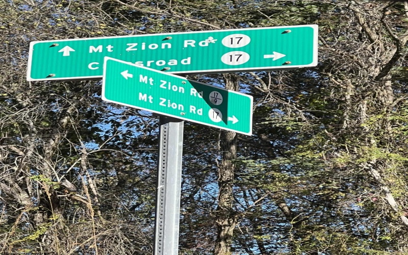 3000 Mount Zion Road, Parsons, West Virginia 26287, ,Lots/land,For Sale,Mount Zion,10161999