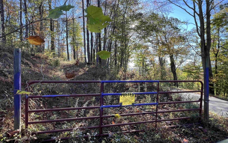 3000 Mount Zion Road, Parsons, West Virginia 26287, ,Lots/land,For Sale,Mount Zion,10161999