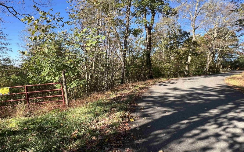 3000 Mount Zion Road, Parsons, West Virginia 26287, ,Lots/land,For Sale,Mount Zion,10161999