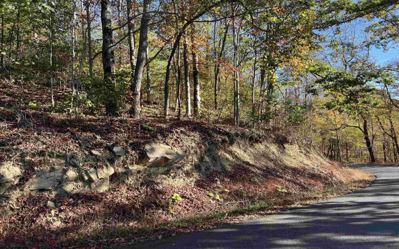 3000 Mount Zion Road, Parsons, West Virginia 26287, ,Lots/land,For Sale,Mount Zion,10161999