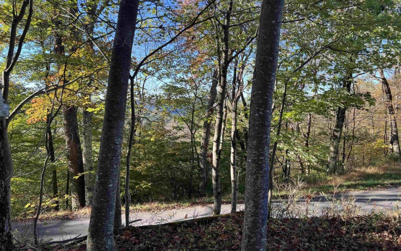 3000 Mount Zion Road, Parsons, West Virginia 26287, ,Lots/land,For Sale,Mount Zion,10161999