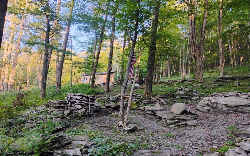1373 Rocky Road, Harman, West Virginia 26270, 1 Bedroom Bedrooms, 1 Room Rooms,1 BathroomBathrooms,Single Family Detached,For Sale,Rocky,10160370 1373 Rocky Road, Harman, West Virginia 26270, 1 Bedroom Bedrooms, 1 Room Rooms,1 BathroomBathrooms,Single Family Detached,For Sale,Rocky,10160370