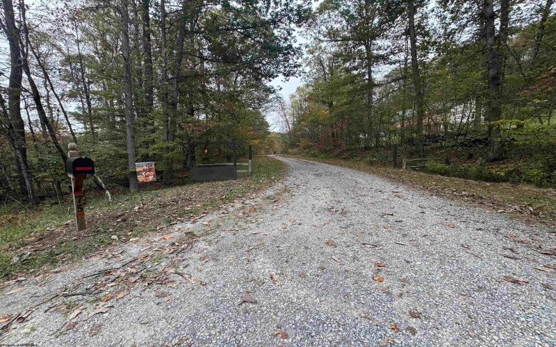 75 Kerry Rock Trail, Ellamore, West Virginia 26267, 4 Bedrooms Bedrooms, 10 Rooms Rooms,2 BathroomsBathrooms,Single Family Detached,For Sale,Kerry Rock,10162024
