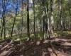1690 Levels Road, Fairmont, West Virginia 26554, 3 Bedrooms Bedrooms, 5 Rooms Rooms,1 BathroomBathrooms,Single Family Detached,For Sale,Levels,10162035 1690 Levels Road, Fairmont, West Virginia 26554, 3 Bedrooms Bedrooms, 5 Rooms Rooms,1 BathroomBathrooms,Single Family Detached,For Sale,Levels,10162035