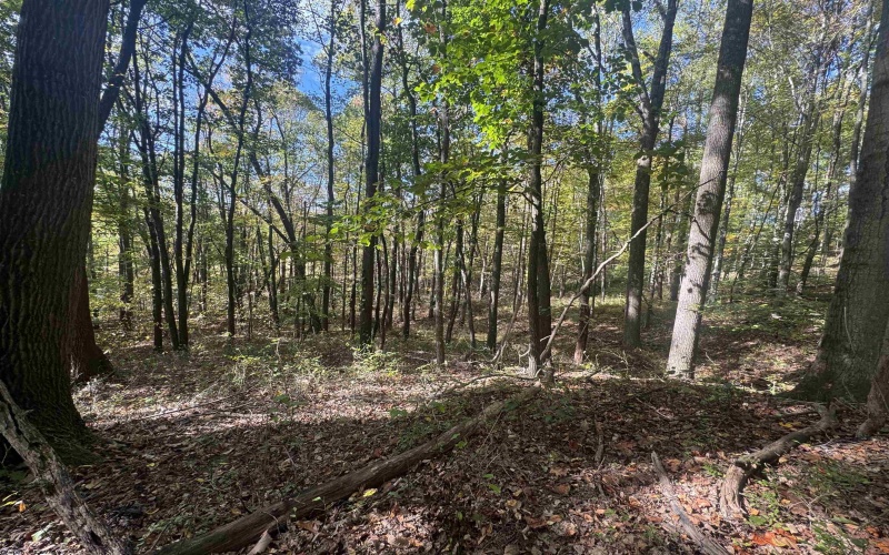 1690 Levels Road, Fairmont, West Virginia 26554, 3 Bedrooms Bedrooms, 5 Rooms Rooms,1 BathroomBathrooms,Single Family Detached,For Sale,Levels,10162035 1690 Levels Road, Fairmont, West Virginia 26554, 3 Bedrooms Bedrooms, 5 Rooms Rooms,1 BathroomBathrooms,Single Family Detached,For Sale,Levels,10162035