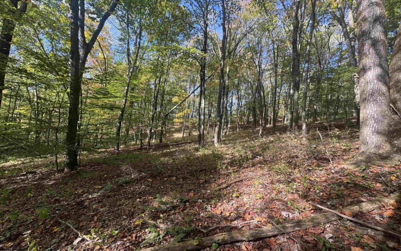 1690 Levels Road, Fairmont, West Virginia 26554, 3 Bedrooms Bedrooms, 5 Rooms Rooms,1 BathroomBathrooms,Single Family Detached,For Sale,Levels,10162035 1690 Levels Road, Fairmont, West Virginia 26554, 3 Bedrooms Bedrooms, 5 Rooms Rooms,1 BathroomBathrooms,Single Family Detached,For Sale,Levels,10162035