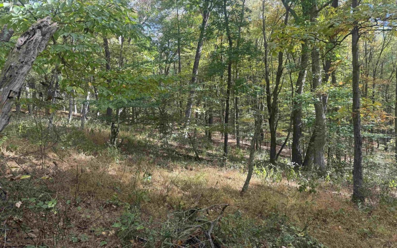 1690 Levels Road, Fairmont, West Virginia 26554, 3 Bedrooms Bedrooms, 5 Rooms Rooms,1 BathroomBathrooms,Single Family Detached,For Sale,Levels,10162035 1690 Levels Road, Fairmont, West Virginia 26554, 3 Bedrooms Bedrooms, 5 Rooms Rooms,1 BathroomBathrooms,Single Family Detached,For Sale,Levels,10162035