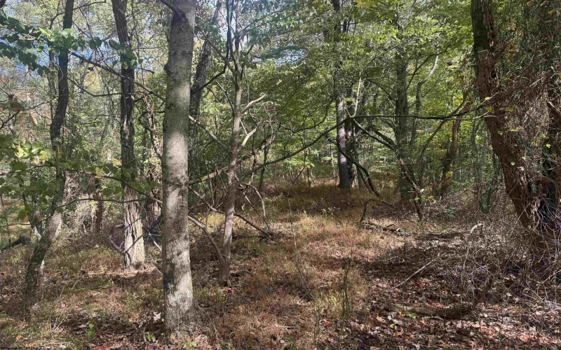 1690 Levels Road, Fairmont, West Virginia 26554, 3 Bedrooms Bedrooms, 5 Rooms Rooms,1 BathroomBathrooms,Single Family Detached,For Sale,Levels,10162035 1690 Levels Road, Fairmont, West Virginia 26554, 3 Bedrooms Bedrooms, 5 Rooms Rooms,1 BathroomBathrooms,Single Family Detached,For Sale,Levels,10162035