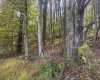 1690 Levels Road, Fairmont, West Virginia 26554, 3 Bedrooms Bedrooms, 5 Rooms Rooms,1 BathroomBathrooms,Single Family Detached,For Sale,Levels,10162035 1690 Levels Road, Fairmont, West Virginia 26554, 3 Bedrooms Bedrooms, 5 Rooms Rooms,1 BathroomBathrooms,Single Family Detached,For Sale,Levels,10162035