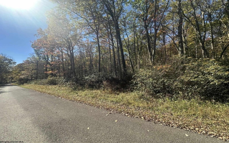 653 Pine Drive, Terra Alta, West Virginia 26764, ,Lots/land,For Sale,Pine,10162046 653 Pine Drive, Terra Alta, West Virginia 26764, ,Lots/land,For Sale,Pine,10162046