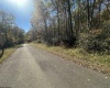 653 Pine Drive, Terra Alta, West Virginia 26764, ,Lots/land,For Sale,Pine,10162046 653 Pine Drive, Terra Alta, West Virginia 26764, ,Lots/land,For Sale,Pine,10162046