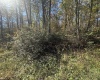 653 Pine Drive, Terra Alta, West Virginia 26764, ,Lots/land,For Sale,Pine,10162046 653 Pine Drive, Terra Alta, West Virginia 26764, ,Lots/land,For Sale,Pine,10162046