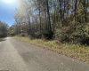 653 Pine Drive, Terra Alta, West Virginia 26764, ,Lots/land,For Sale,Pine,10162046 653 Pine Drive, Terra Alta, West Virginia 26764, ,Lots/land,For Sale,Pine,10162046