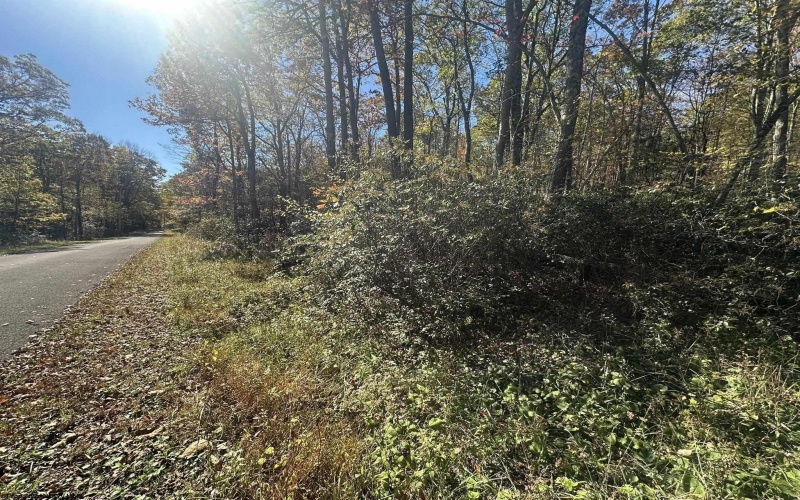 653 Pine Drive, Terra Alta, West Virginia 26764, ,Lots/land,For Sale,Pine,10162046 653 Pine Drive, Terra Alta, West Virginia 26764, ,Lots/land,For Sale,Pine,10162046