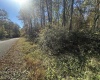 653 Pine Drive, Terra Alta, West Virginia 26764, ,Lots/land,For Sale,Pine,10162046 653 Pine Drive, Terra Alta, West Virginia 26764, ,Lots/land,For Sale,Pine,10162046